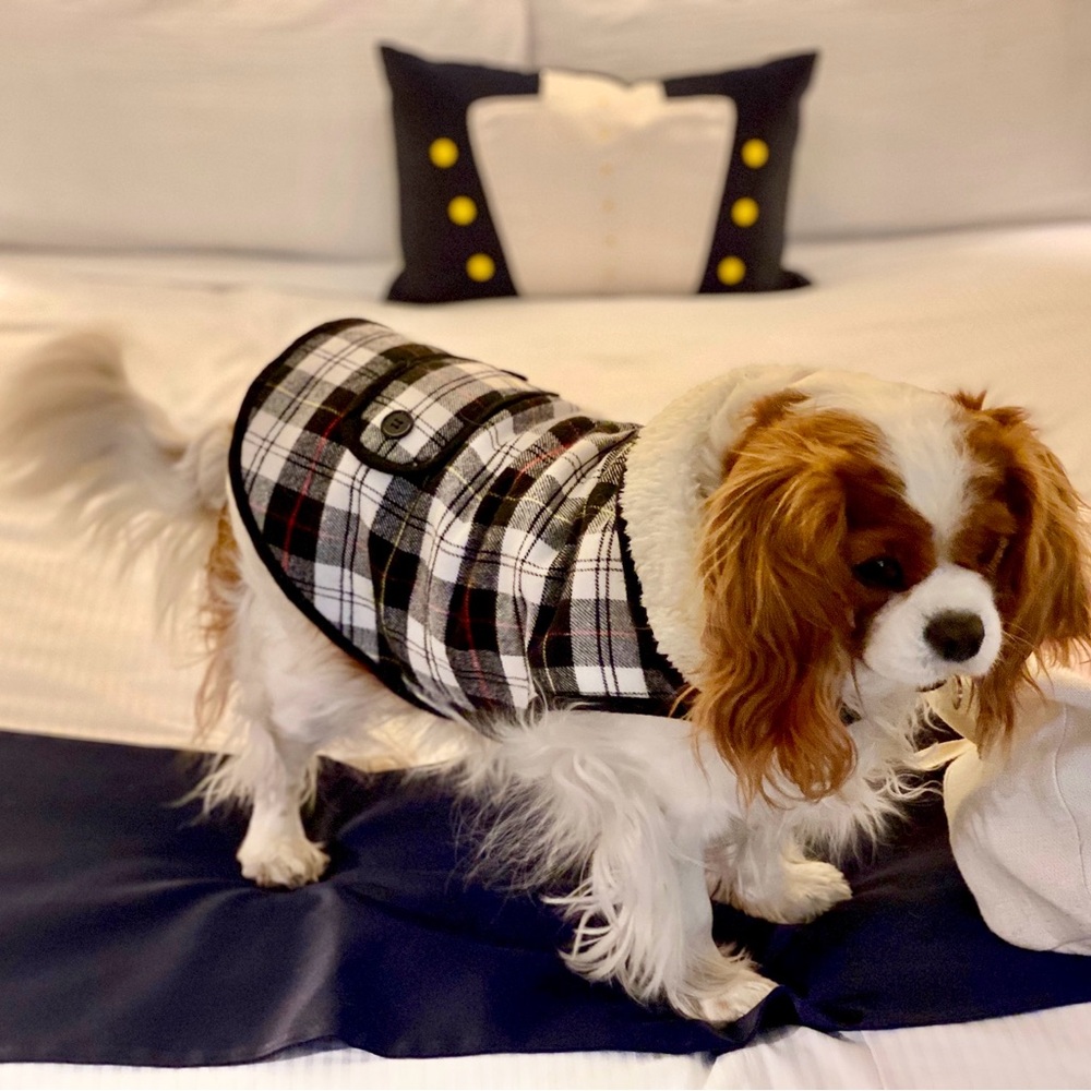 Preppy Plaid Dog Sweater Coat w Sherpa Lining & Velcro Closure Size M/L